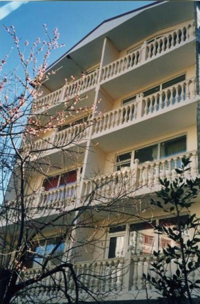 Vizit Hotel